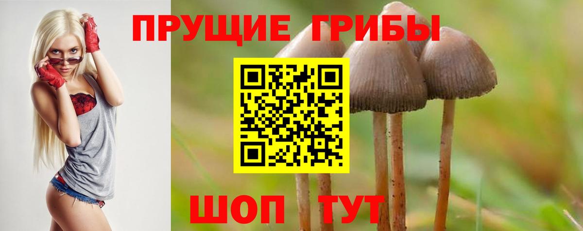 Галлюциногенные грибы мицелий Северск