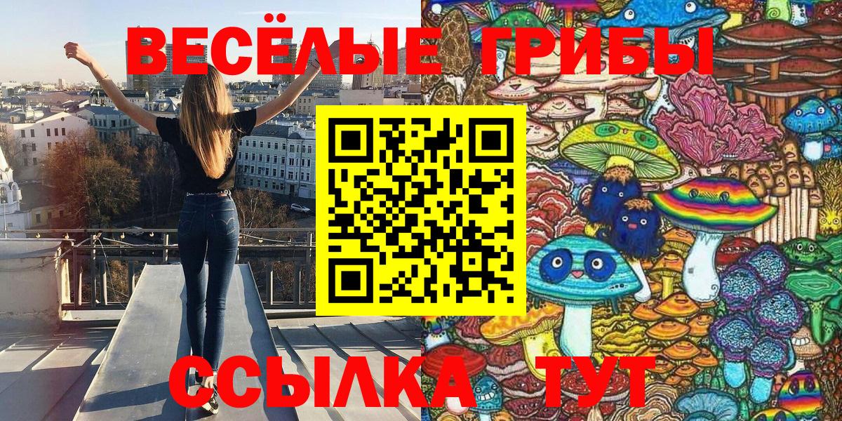 магазин    Вход с VPN  Северск  Псилоцибиновые грибы GOLDEN TEACHER 